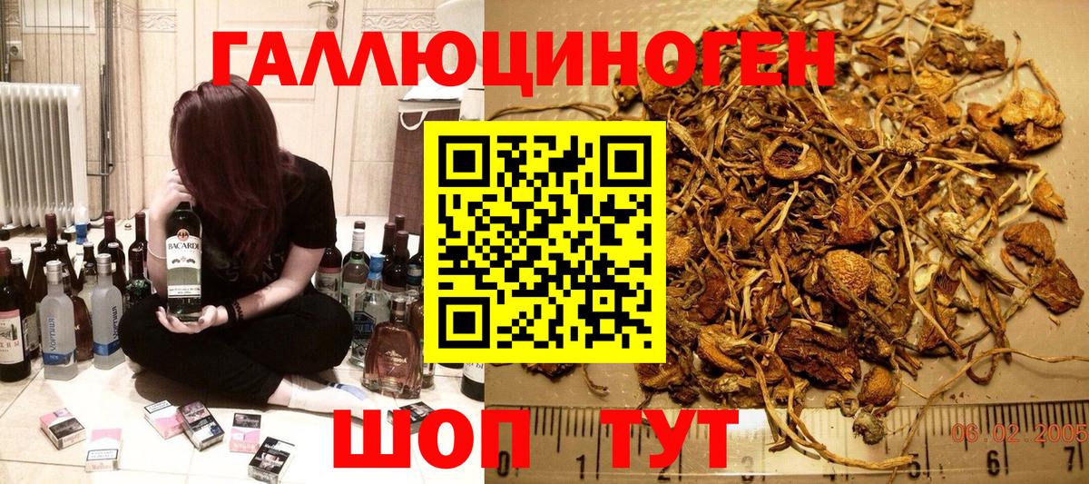 Псилоцибиновые грибы ЛСД Азов