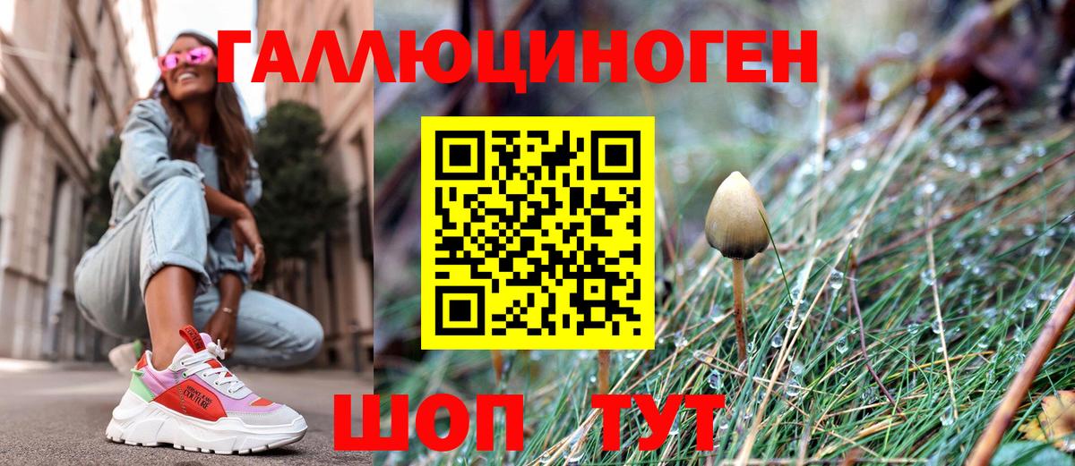 Азов  Галлюциногенные грибы Psilocybe  Вход с VPN 